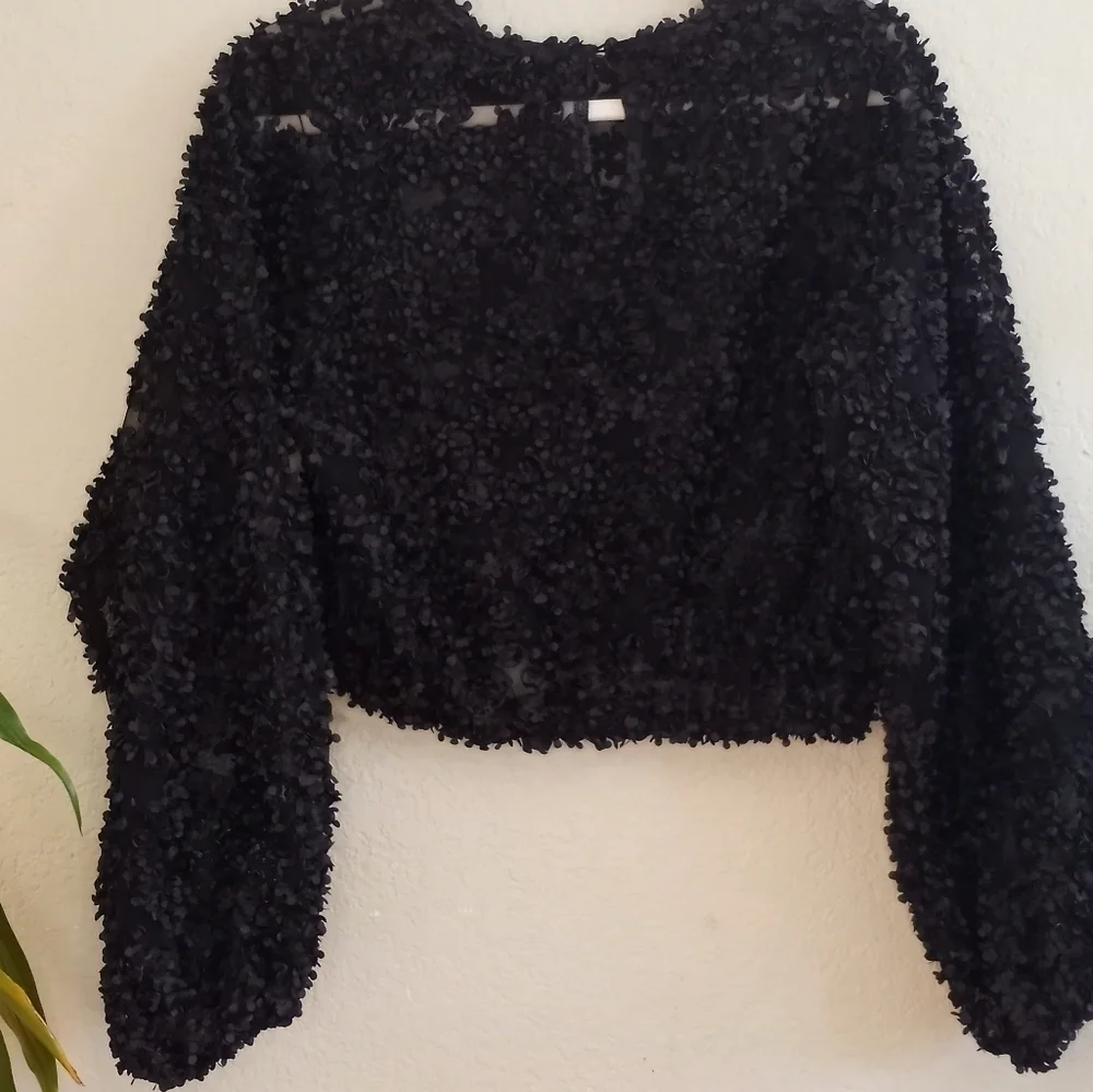 Zara Sheer Black Mesh With 3D Applique Petals Boho Casual Crop Long Sleeve Top